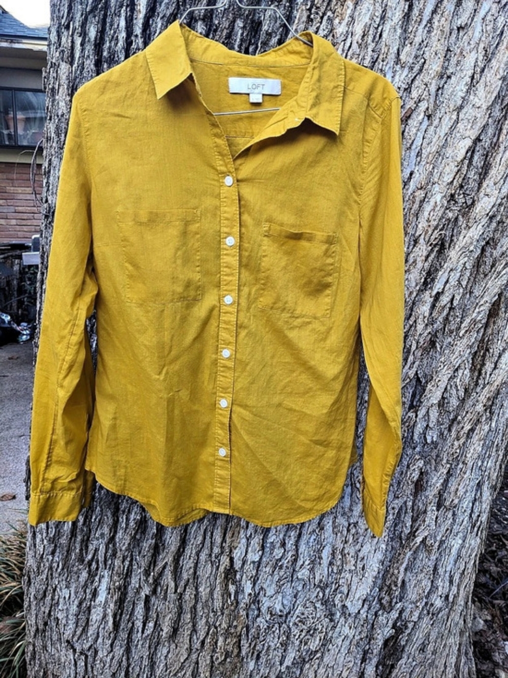LOFT Cotton Button Down Shirt in Yellow Size Small